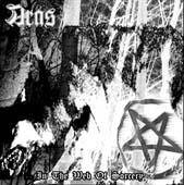 Aras (FIN) : In the Web of Sorcery